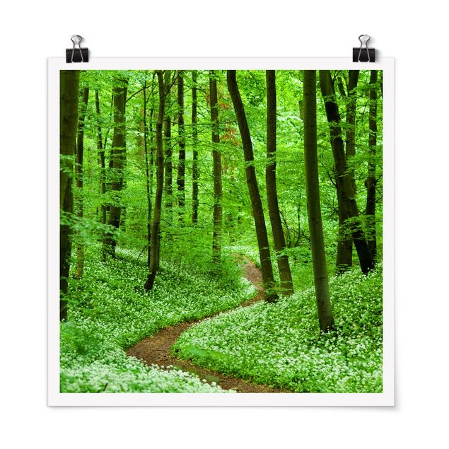 Poster - Romantic Forest Track