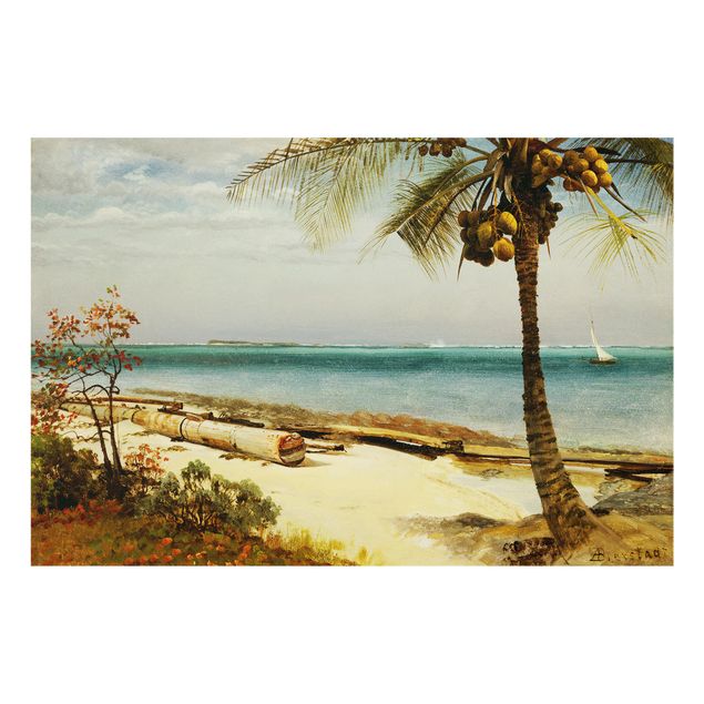 Glass splashbacks Albert Bierstadt - Tropical Coast