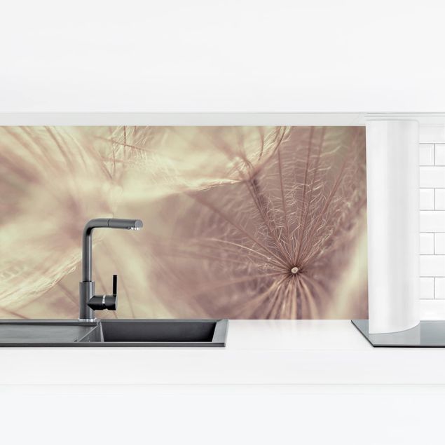 Kitchen wall cladding - Detailed Dandelion Macro Shot With Vintage Blur Effect