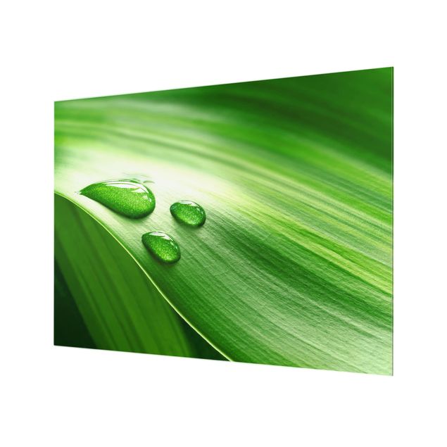 Glass Splashback - Banana Leaf With Drops - Landscape 3:4