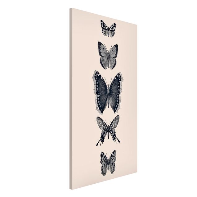 Magnetic memo board - Ink Butterflies On Beige Backdrop