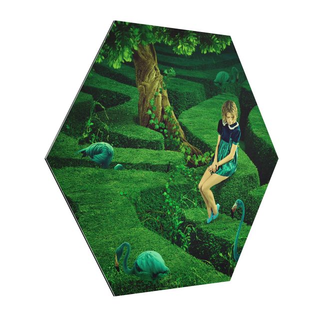 Alu-Dibond hexagon - Woman in the Labyrinth