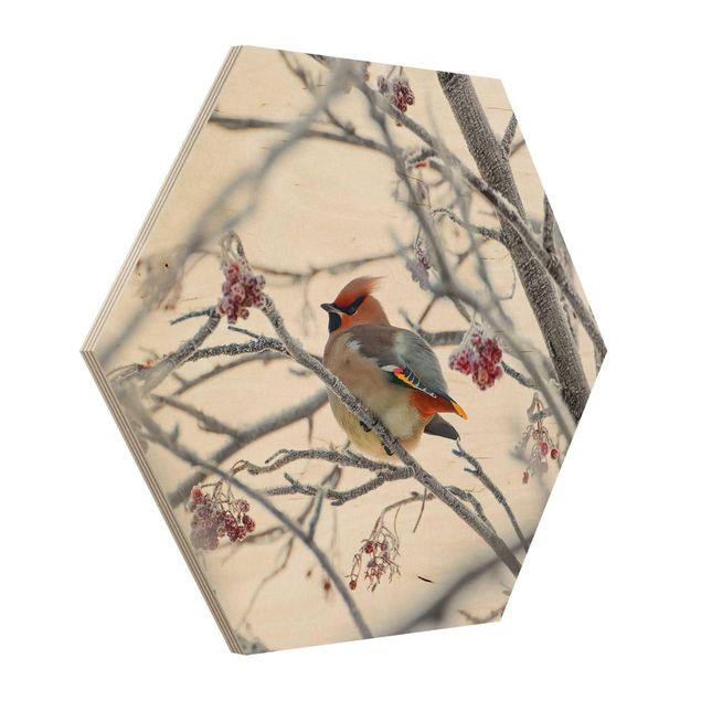 Wooden hexagon - Waxwing on a Tree