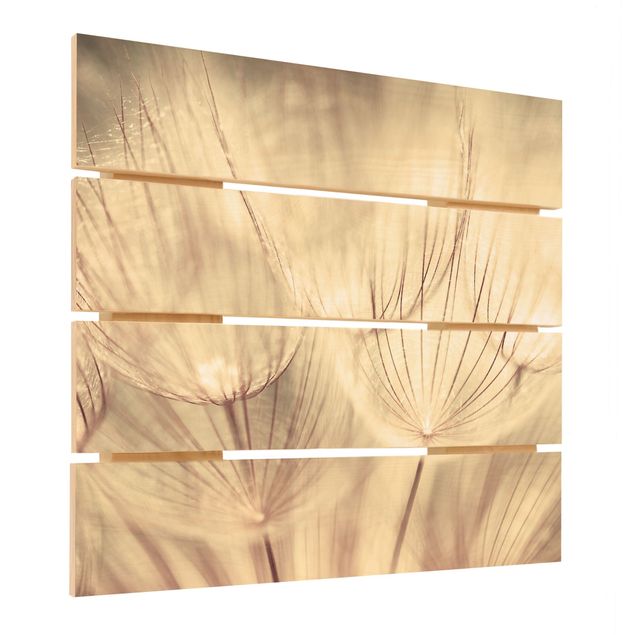 Print on wood - Dandelions Close-Up In Cozy Sepia Tones