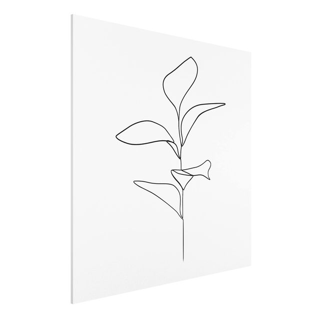 Print on forex - Line Art Plant Leaves Black And White