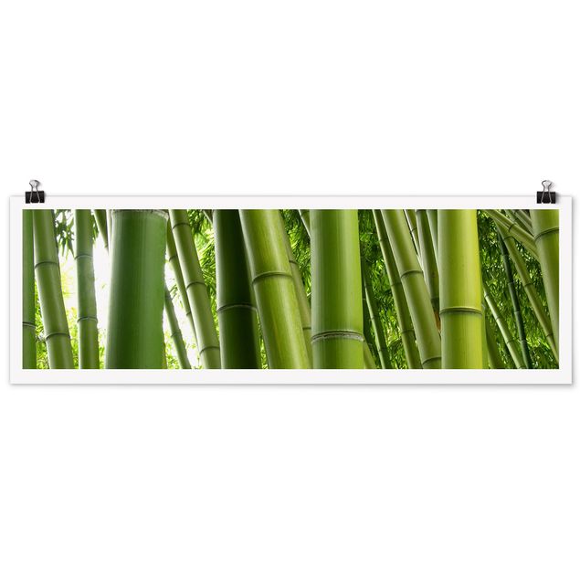 Panoramic poster forest - Bamboo Trees