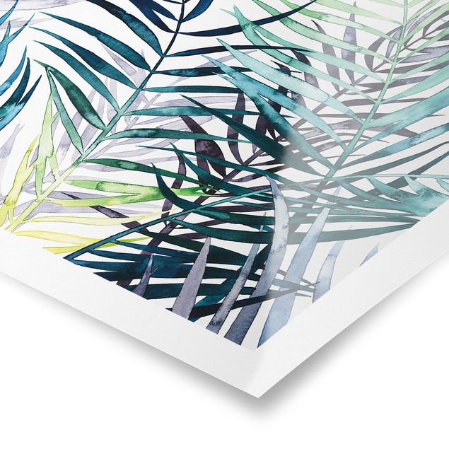 Poster - Exotic Foliage - Palme