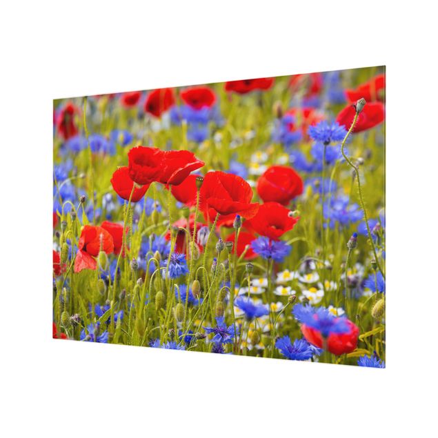 Glass Splashback - Summer Meadow With Poppies And Cornflowers - Landscape 3:4