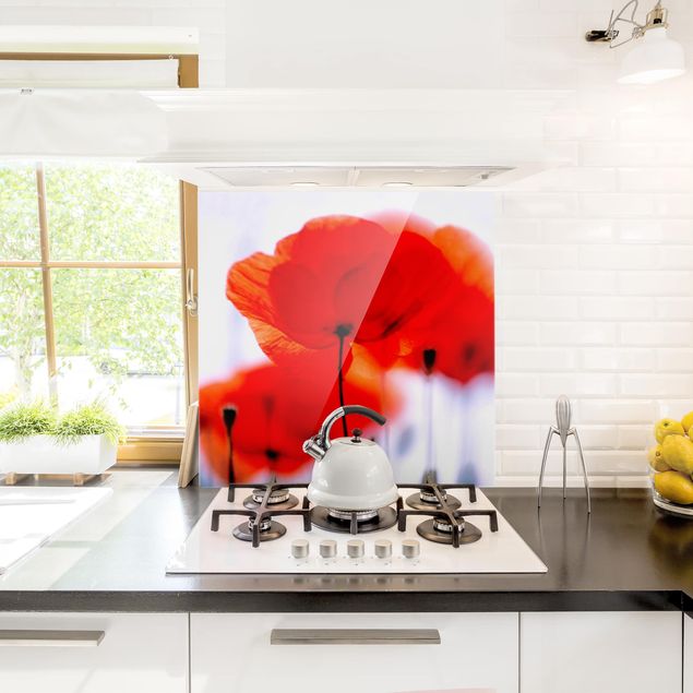 Glass splashback kitchen Magic Poppies