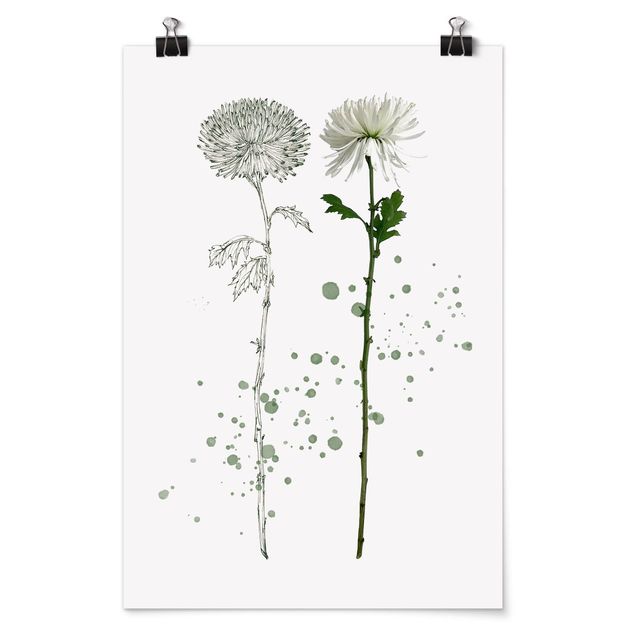 Poster flowers - Botanical Watercolour - Dandelion