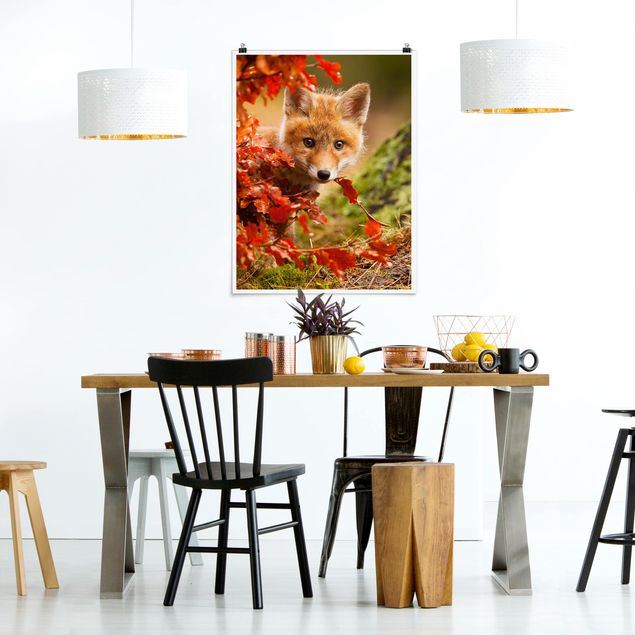 Poster animals - Fox In Autumn