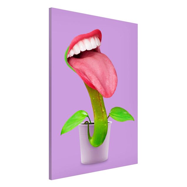 Magnetic memo board - Carnivorous Plant With Mouth