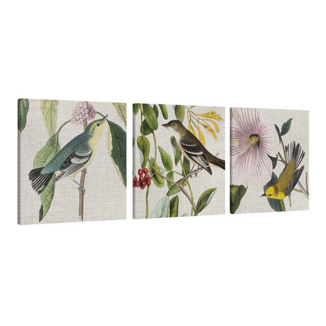 Print on canvas - Birds On Linen Set I