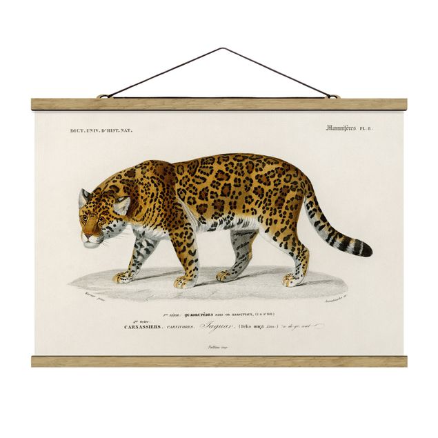 Fabric print with poster hangers - Vintage Board Jaguar