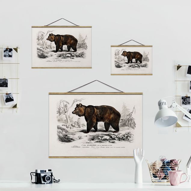 Fabric print with poster hangers - Vintage Board Brown Bear