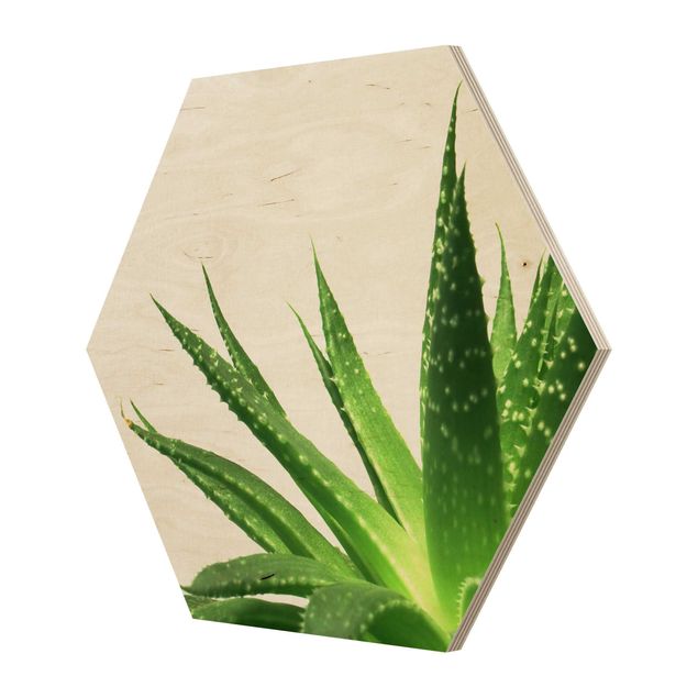 Wooden hexagon - Aloe Vera