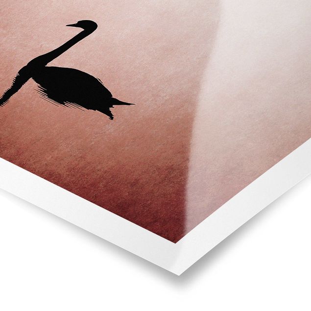 Poster - Swan In Sunset