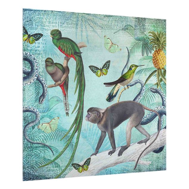 Glass splashback animals Colonial Style Collage - Monkeys And Birds Of Paradise
