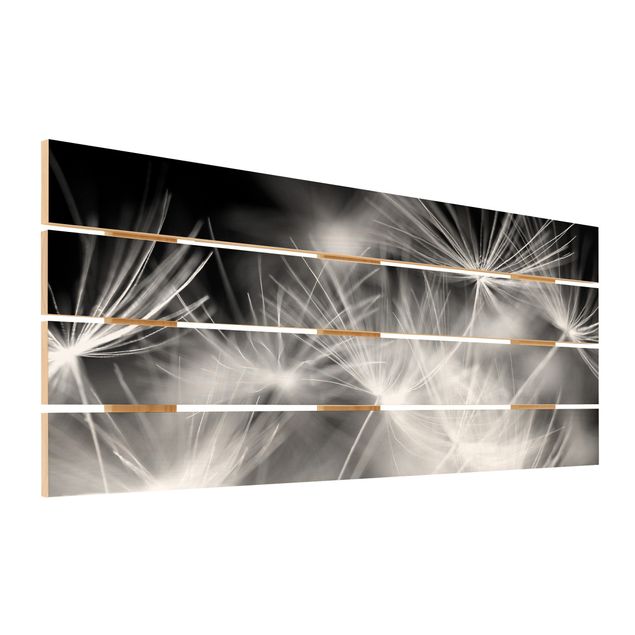 Print on wood - Moving Dandelions Close Up On Black Background