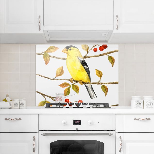Glass splashbacks Birds And Berries - American Goldfinch