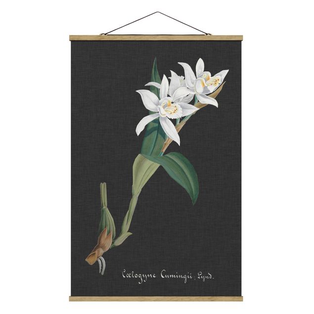 Fabric print with poster hangers - White Orchid On Linen II