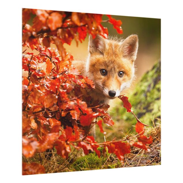 Glass splashback Fox In Autumn