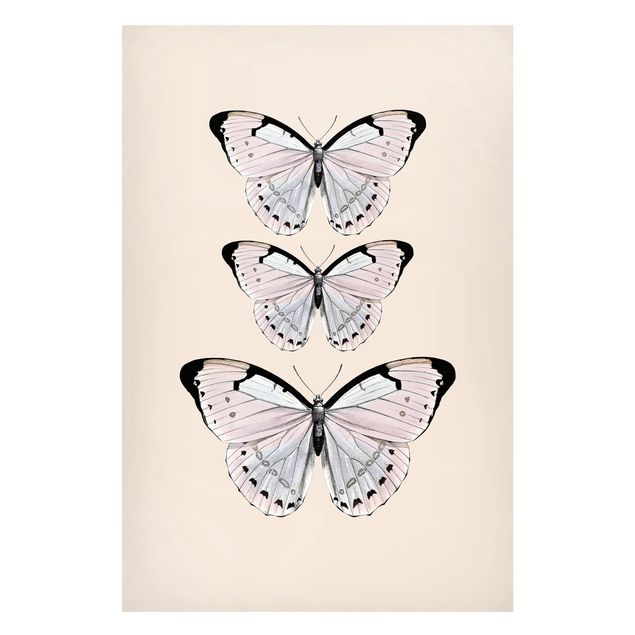Magnetic memo board - Butterfly On Beige