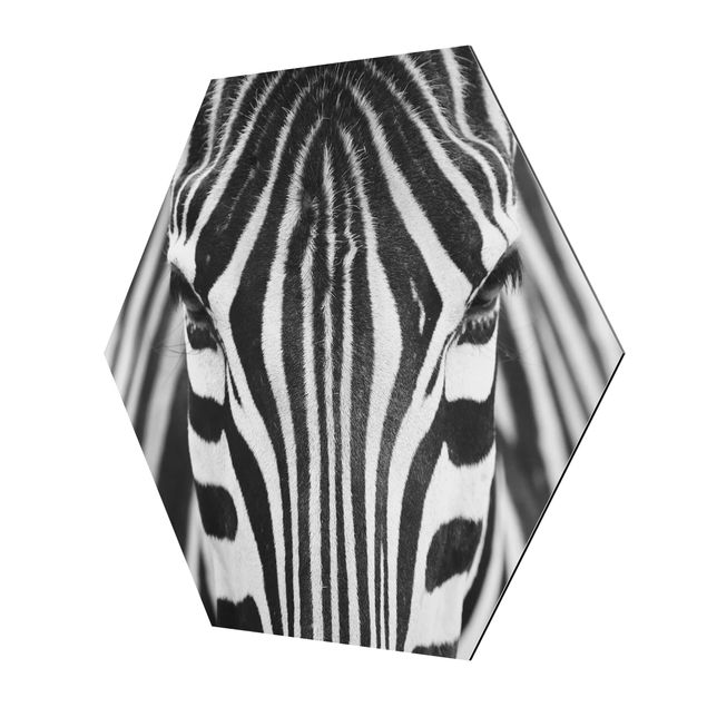 Alu-Dibond hexagon - Zebra Look