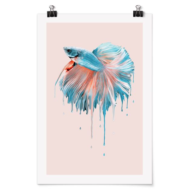 Poster animals - Melting Fish