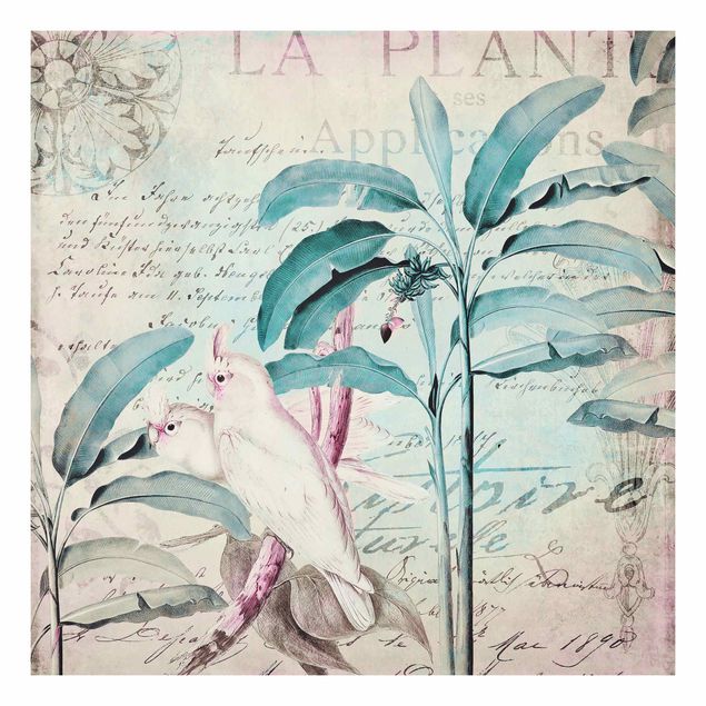 Print on forex - Colonial Style Collage - Cockatoos And Palm Trees