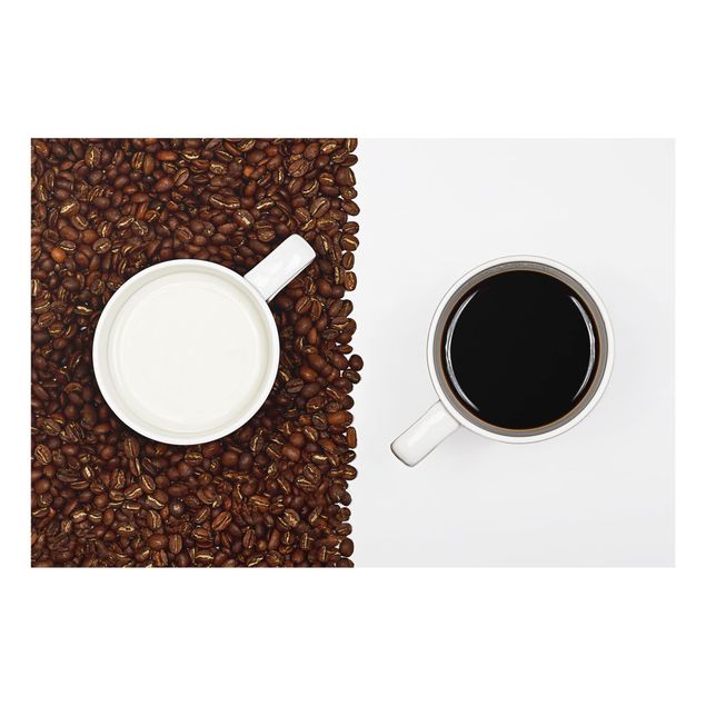 Splashback - Caffee Latte