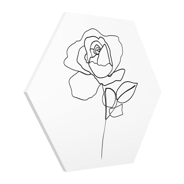 Forex hexagon - Line Art Rose Black White