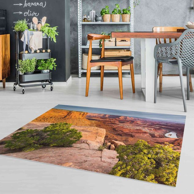 modern area rugs Dead Horse Point Canyonlands National Park USA