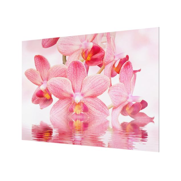 Glass Splashback - Pink Orchids On Water - Landscape 3:4