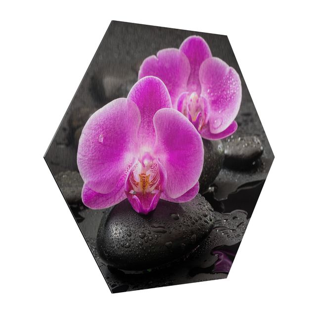 Alu-Dibond hexagon - Pink Orchid Flower On Stones With Drops