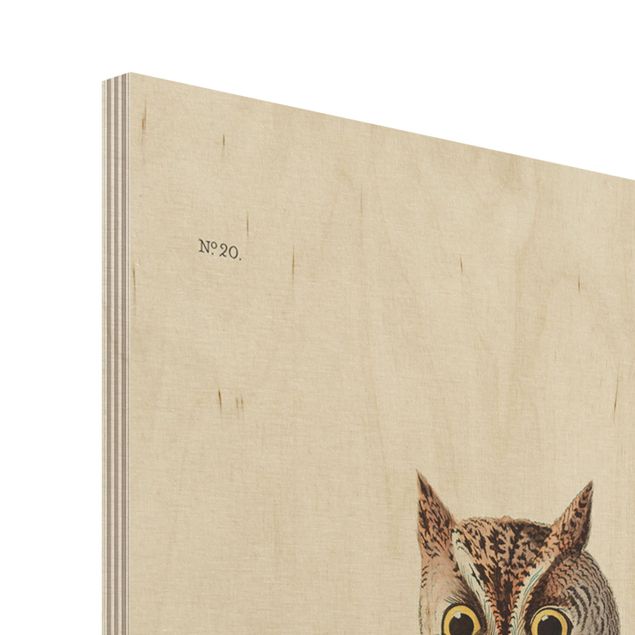 Print on wood - Vintage Board Screech Owl
