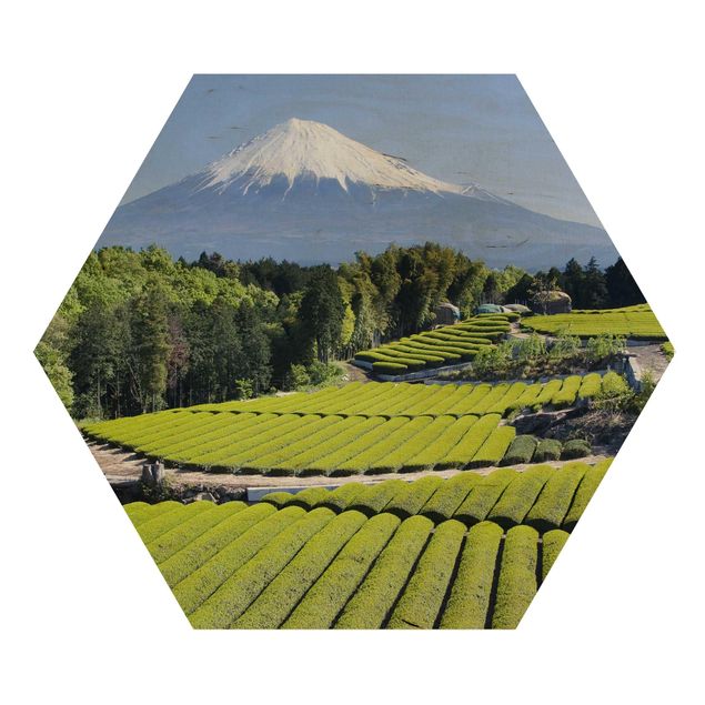 Wooden hexagon - Tea Fields In Front Of The Fuji