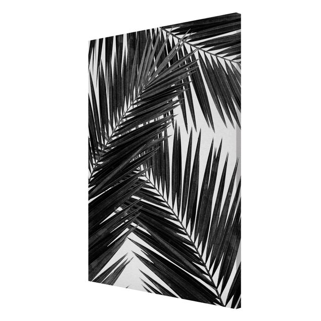 Magnetic memo board - View Through Palm Leaves Black And White
