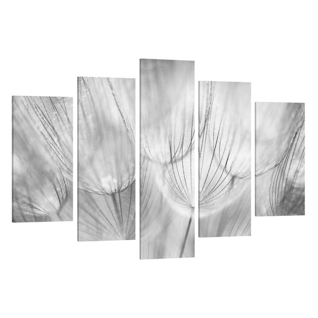 Print on canvas 5 parts - Dandelion Macro Shot In Black And White
