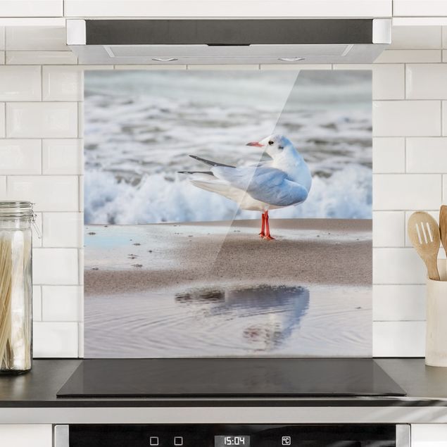 Glass art splashbacks Seagull On The Beach In Front Of The Sea