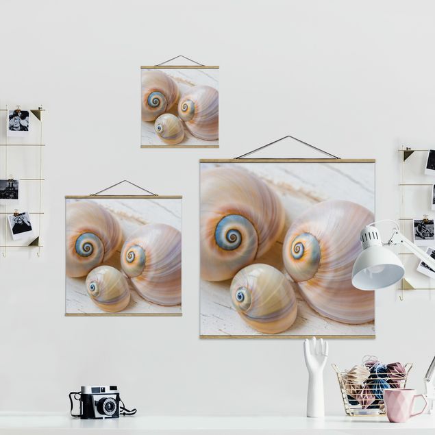Fabric print with poster hangers - Clam Trio On Wood