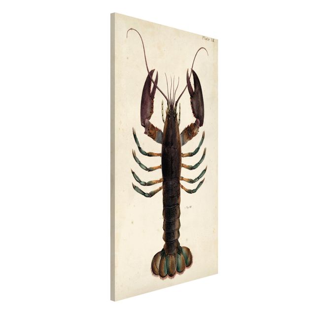 Magnetic memo board - Vintage Illustration Lobster