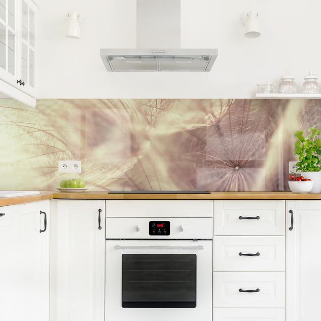Kitchen wall cladding - Detailed Dandelion Macro Shot With Vintage Blur Effect
