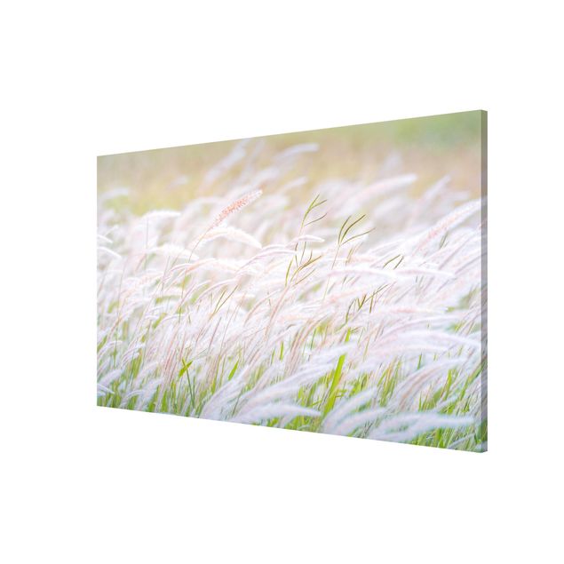 Magnetic memo board - Soft Grasses