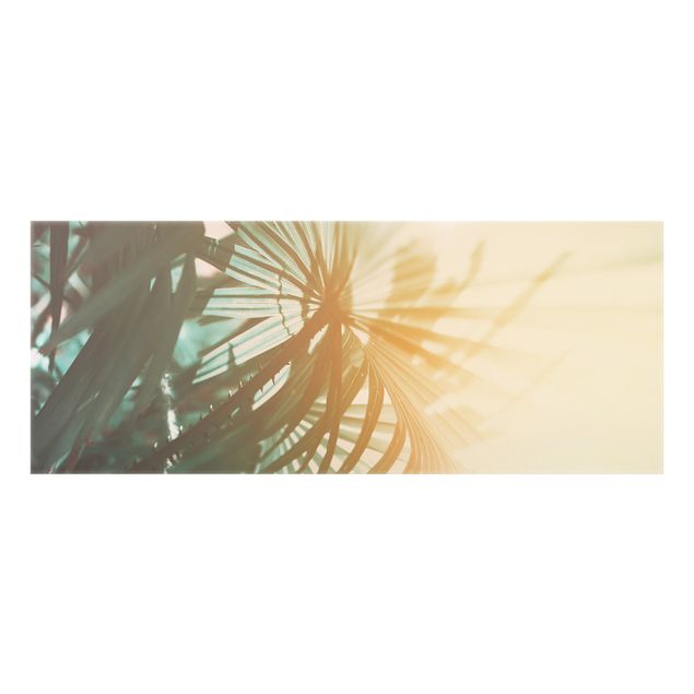 Splashback - Tropical Plants Palm Trees At Sunset