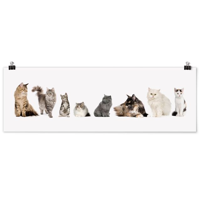 Poster - Cat Gang