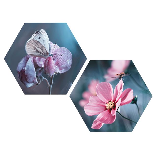 Forex hexagon - Butterfly And Ladybug On Flowers