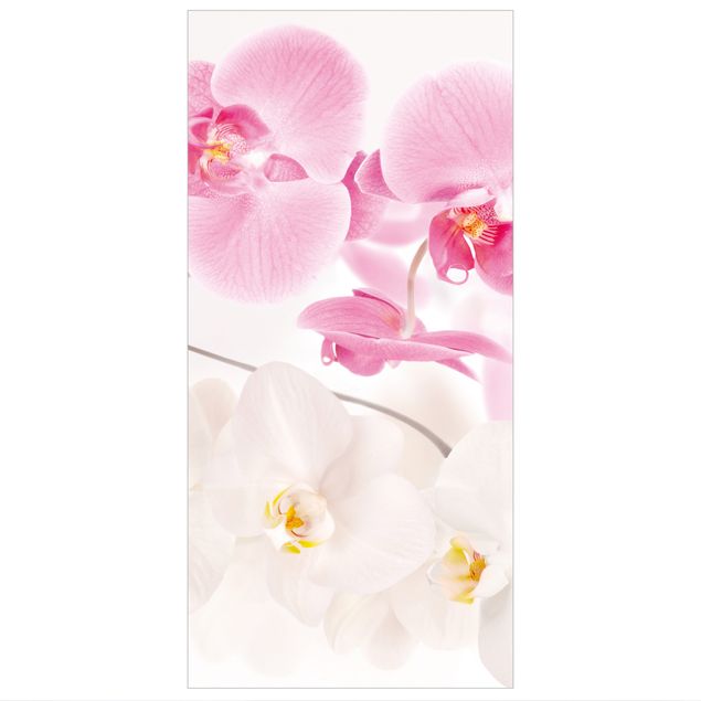 Room divider - Delicate Orchids