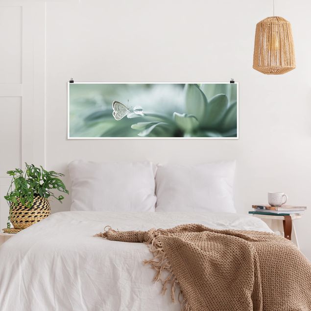 Panoramic poster flowers - Butterfly And Dew Drops In Pastel Green