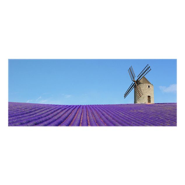 Splashback - Lavender Scent In The Provence